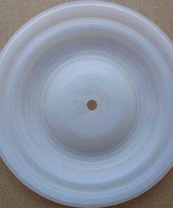 P01-1010-55 Diaphragm PTFE