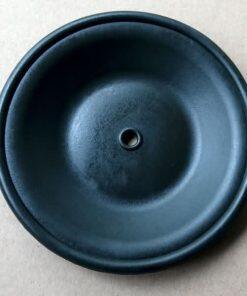 PN02-1010-53 Wilden FKM Diaphragm