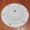 P15-033 Diaphragm PTFE Fit Blagdon AODD Pumps