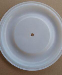 P15K313 Graco Diaphragm PTFE