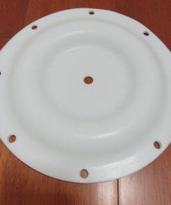 P1A071 Diaphragm PTFE Fit Blagdon AODD Pumps