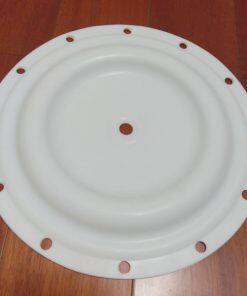 P1B039 Diaphragm PTFE Fit Blagdon AODD Pumps