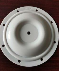 P25-016 Diaphragm PTFE Fit Blagdon AODD Pumps