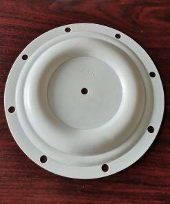 P40-020 Diaphragm PTFE Fit Blagdon AODD Pumps