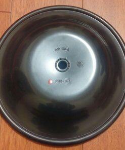 P40-037 Diaphragm Buna-N Parts Fit Blagdon Pumps