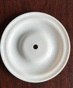 P770805 Diaphragm PTFE Fit Yamada Pumps