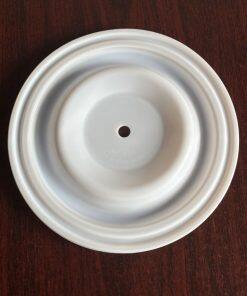 04-1040-55 Diaphragm PTFE Fit WILDEN Pumps