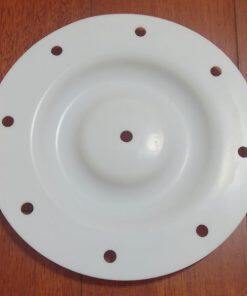 PV183TF-1 Versa-Matic Diaphragm PTFE