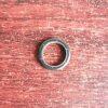 P02-3210-55-225 GLYD-Ring Fit Wilden Pump