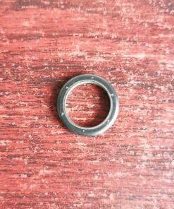 P02-3210-55-225 GLYD-Ring Fit Wilden Pump