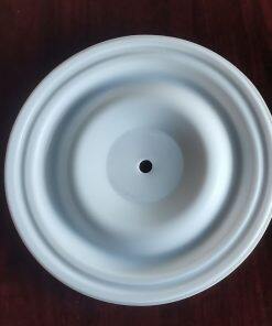 P04-1040-55-42 Diaphragm PTFE Bolted Wilden Parts