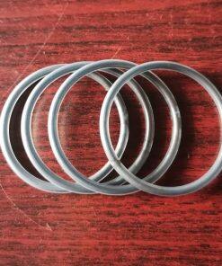 P02-1220-60 Encapsulated O-Ring Fit Wilden Pumps Parts
