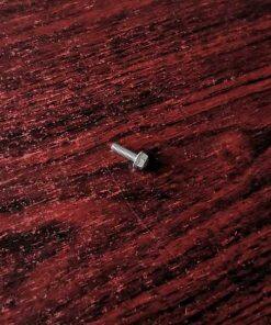 P113554 Screw hex flange SST Fit Graco Pumps