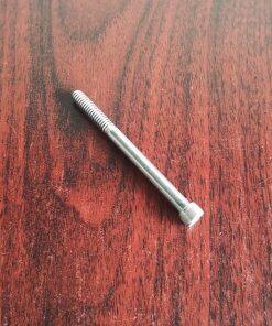 P01-6001-03 SHC Screw Stainless Steel Fit Wilden Pumps