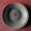 P15B502 Diaphragm FKM Fit for Graco Pumps Parts 15B502
