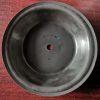 P286-005-364 Diaphragm EPDM Fit Sandpiper Pumps Parts 286.005.364