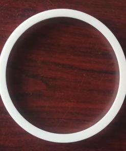 P720.043.600 Seal PTFE Fit Sandpiper Pumps Parts 720-043-600