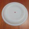 P819.4329 Diaphragm PTFE Fit VERDERAIR VA50