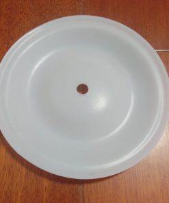 P819.4402 Diaphragm PTFE Fit VERDERAIR VA25