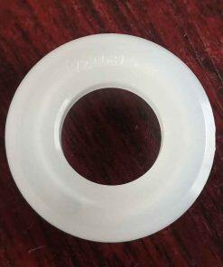 P722-081-520 Seat Check Valve PVDF Fit Sandpiper Pumps