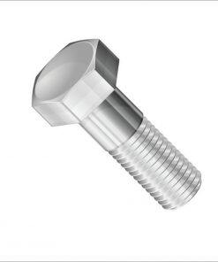 P170-055-115 Capscrew, Hx-Hd SS Fit Sandpiper Pumps