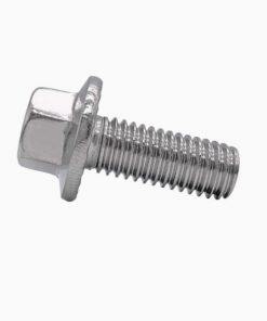 P171.063.115 Capscrew Flanged SS Fit for Sandpiper Pumps