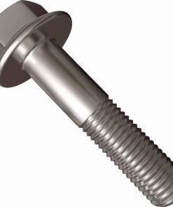 P171.064.115 Capscrew Flanged SS Fit for Sandpiper Pumps P171-064-115