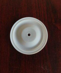 P93898 Diaphragm PTFE Fit ARO Pumps Parts
