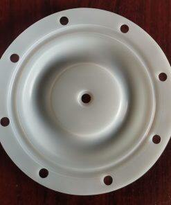 P6202 Diaphragm PTFE Fit BSK Pumps BA25XX