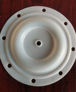 P6202 Diaphragm PTFE Fit BSK Pumps BA25XX