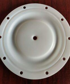 P6259 Diaphragm PTFE Fit BSK Pumps A40XX