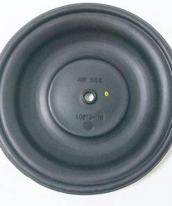 P10612-13 Diaphragm FKM Fit All-Flo A100 Series Pump