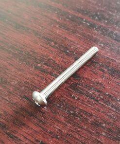 P710.015.115 Screw Self-tapping SS Fit Sandpiper Pumps