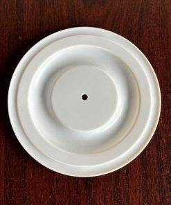 11406-59 Diaphragm PTFE Fit All-Flo Pump