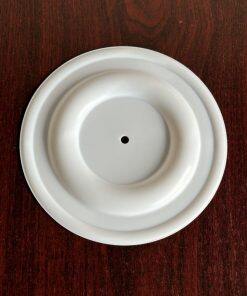 11406-59 Diaphragm PTFE Fit All-Flo Pump