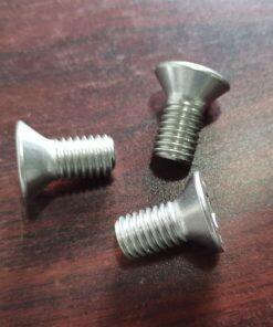 08-6220-03-60 SFCHC Screw Stainless Steel Fit Wilden Pumps