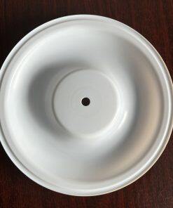 PV305TF-FB Diaphragm PTFE Fit VersaMatic Pumps