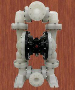 PD30P-FPS-PAA AODD Pumps Compatible With ARO