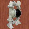 PD30P-FPS-PTT AODD Pumps Compatible With ARO