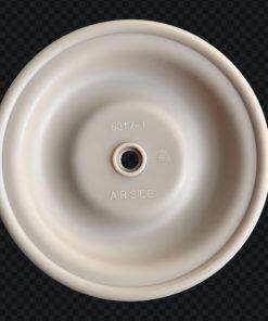 P6317-1 Diaphragm Santoprene Fit BSK Pumps