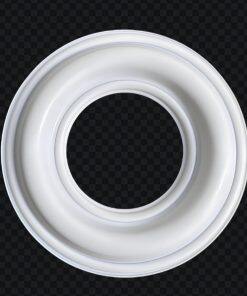 08-1011-55 Diaphragm PTFE Fit Wilden H800