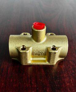 P01-2008-07 Air Valve Assembly Brass Fit Wilden Pumps