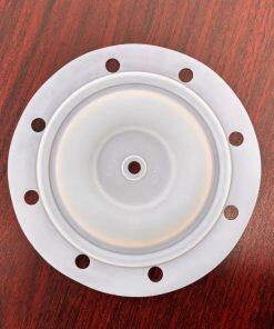 P6322 Diaphragm PTFE Fit BSK Pumps