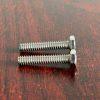 01-6101-03 Screw HHC Fit Wilden Pumps