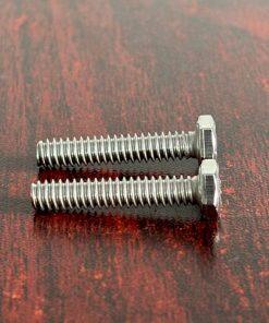 01-6101-03 Screw HHC Fit Wilden Pumps