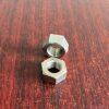 682263 Nut SST Fit Yamada Pumps